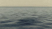 page forum GIF
