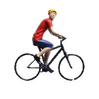 visitnoosa yoga fishing hiking koala Sticker