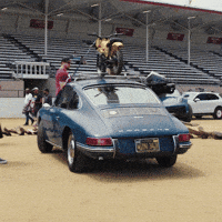 Race Porsche GIF by Dunlop Tire NA