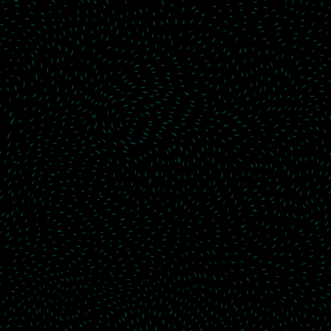 Policing Black Lives Matter GIF by INTO ACTION