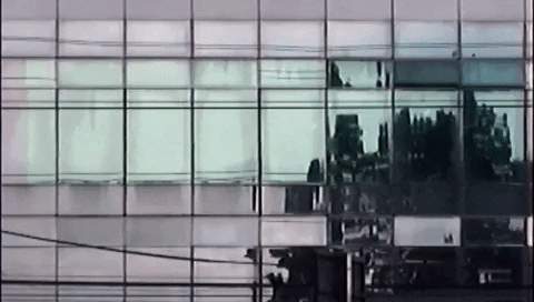 GIF by jorgemariozuleta