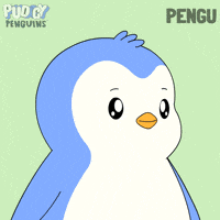 Black Friday Penguin GIF by Pudgy Penguins