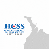 HCSSGREYBRUCE  GIF