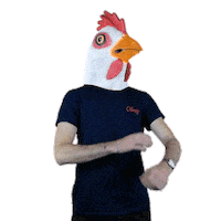 Les_Petits_Frenchies coq lpf cocorico yveslecoq Sticker