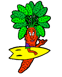 pranavegetariano food vegan comida surf Sticker