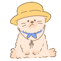 Cat Ok Sticker by koimoffee