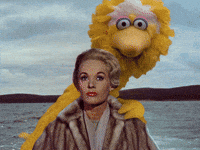 Sesame Street Bird GIF by Bell Brothers