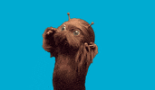 dance party GIF by Yoigo