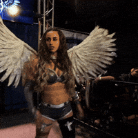 Fu GIF