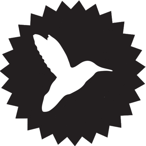 wearehummingbird giphyupload hummingbird we are hummingbird we are hummingbird sticker Sticker