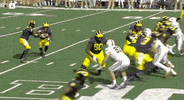 Go Blue Michigan Football GIF by Michigan Athletics