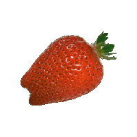 Strawberry いちご Sticker by suikanosato