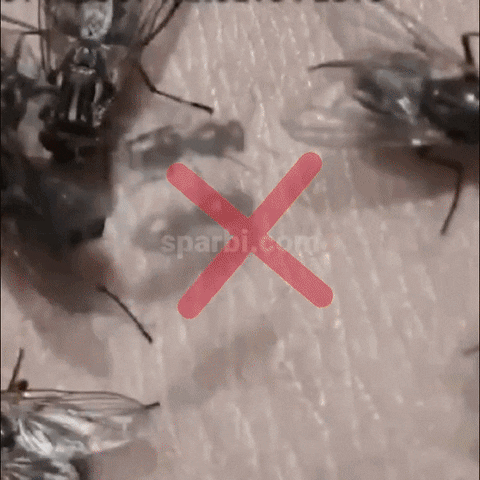 giphyupload GIF