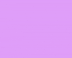 abitan cat life cats kitty GIF