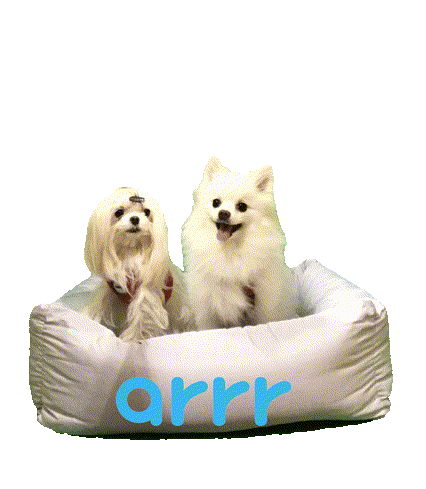 아르르 Sticker by arrr_official