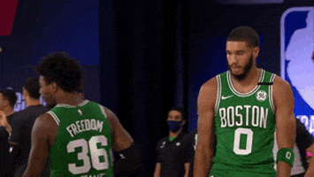 Nba Playoffs Sport GIF by NBA
