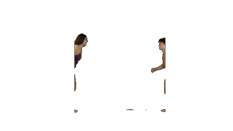 Ppp D3 Sticker by Albion College