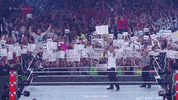 daniel bryan sport GIF by WWE