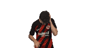 Eintracht Frankfurt Dj Sticker by Bundesliga