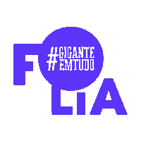 foliaentretenimento ws folia saojoao nattan Sticker