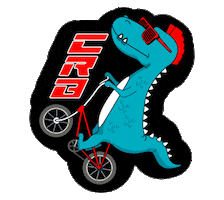 Sport Bike Sticker by Comisión de BMX