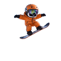Snowboarding Winter Sports Sticker by UJFM