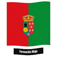 Castilla Y Leon Flag Sticker by Formación Ninja