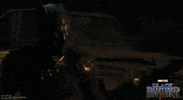 Black Panther GIF by Marvel Studios