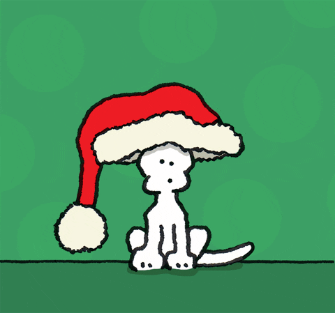 Santa Hat Christmas GIF by Chippy the Dog
