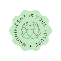 MagnoChocolates chocolate future diamond futuro Sticker