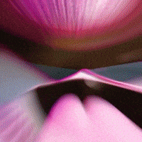 Pink Drip GIF by Magic Eden
