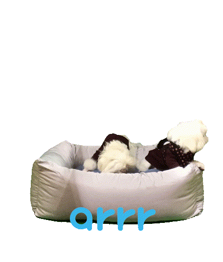 아르르 Sticker by arrr_official