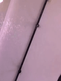 framebeta GIF