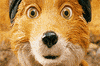 wes anderson fox GIF