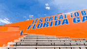 ben hill griffin stadium football GIF by University of Florida