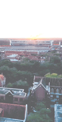 Ben Hill Griffin Football GIF by University of Florida