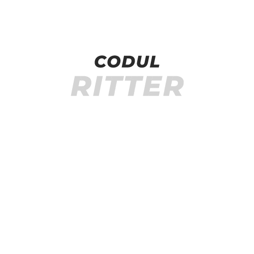 Carvertical Sticker by RITTER Broker