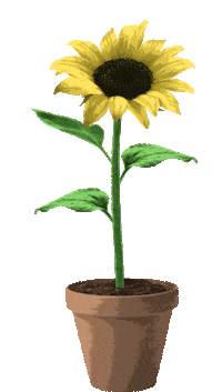 Garden Bunga Sticker by sonflower_