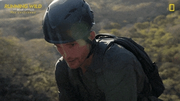Survive Nat Geo GIF by National Geographic Channel