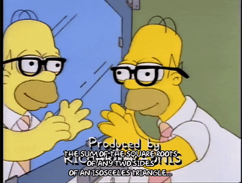 Season 5 Episode 10 GIF by The Simpsons
