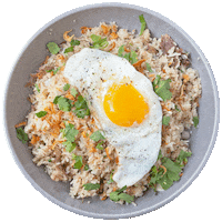 Fried Rice Egg Sticker by foodbabyny