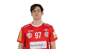 Handball_Austria michael aut ohb handballaustria Sticker