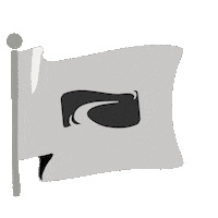 Flag Fuge Sticker by LifeWay Students