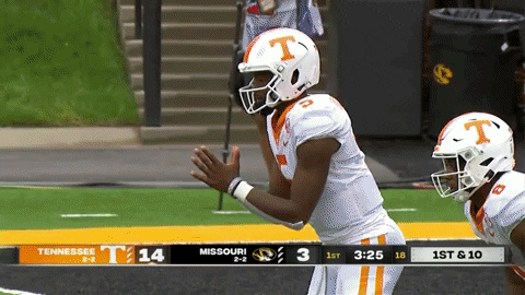 CardinalStrong giphyupload GIF