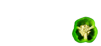 Plant-Based Vegan Sticker