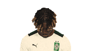 Happy Borussia Moenchengladbach Sticker by Bundesliga