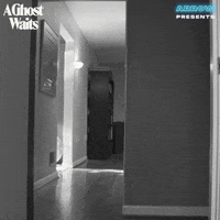 I See You Hello GIF by Arrow Video