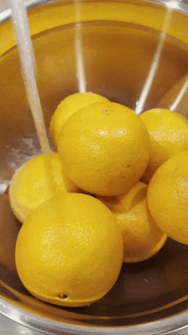 Fruit Wash GIF by Jennifer Greenhill