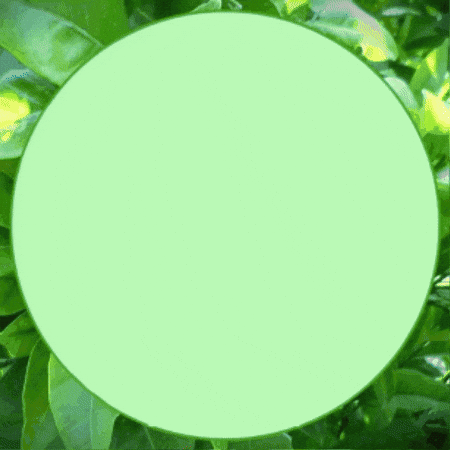 Time For Tea Relax GIF by TeaCosyFolk