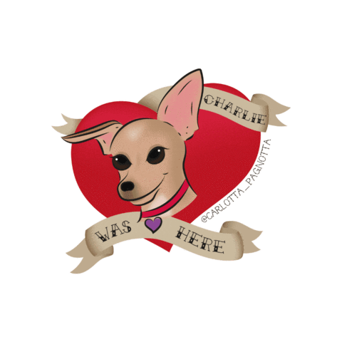 sofiaromanazzo giphygifmaker charlie chihuahua carlottina Sticker